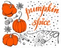 Hand drawing vector of Pumpkin Set. Royalty Free Stock Photo